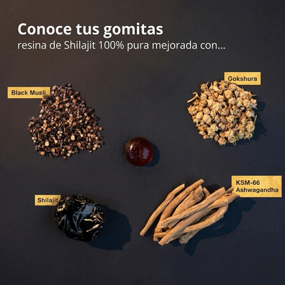 Eleveit Gold Gomitas de Shilajit Puro del Himalaya