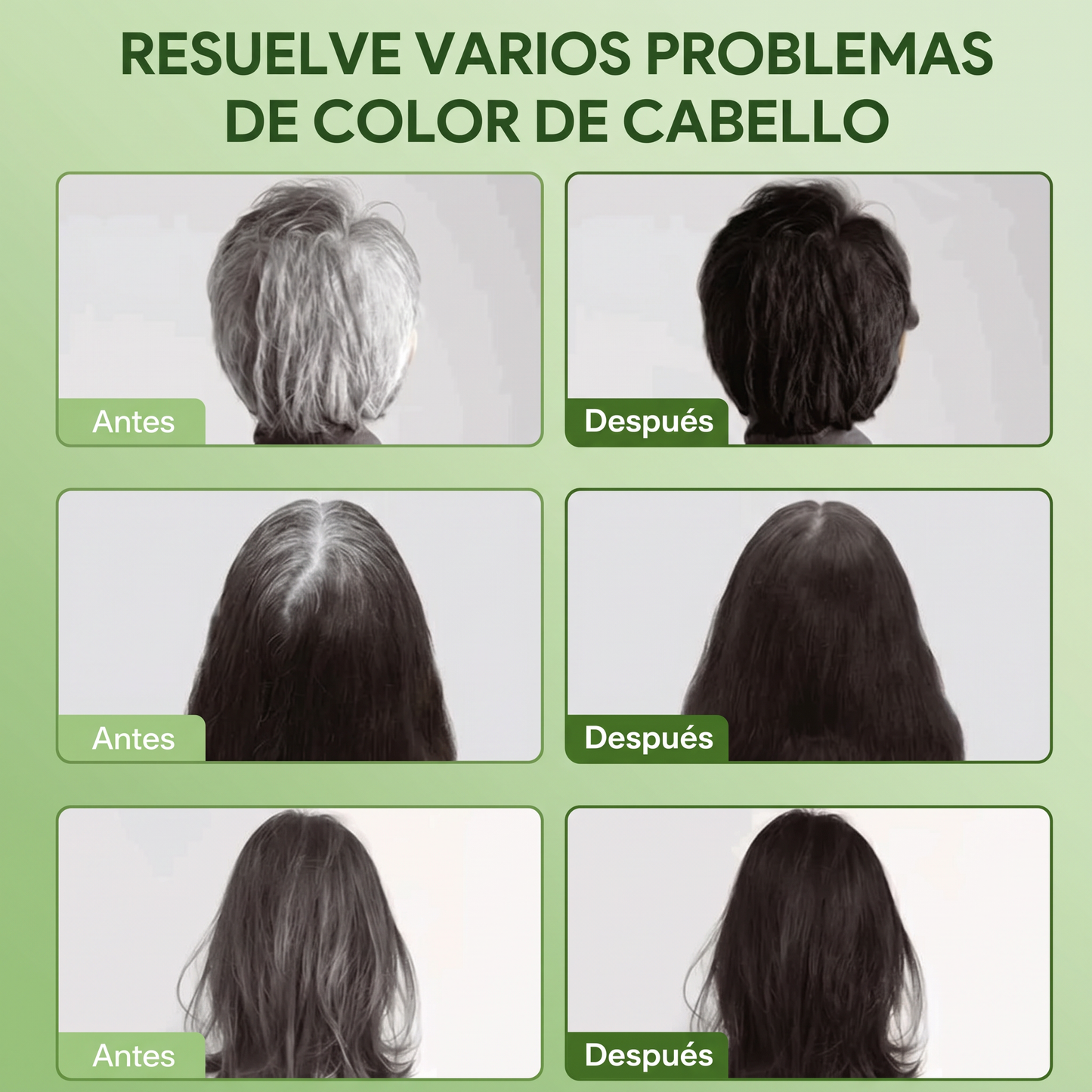 Shampoo Cubre Canas 3 en 1 Natural – Cabello Negro Instantáneo | Stock Limitado